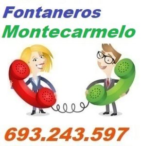 Telefono de la empresa fontaneros Montecarmelo
