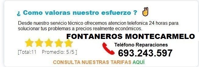 Fontanero Montecarmelo precio